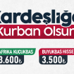 2025 VACİP KURBAN AFRİKA YEMEN BAĞIŞI