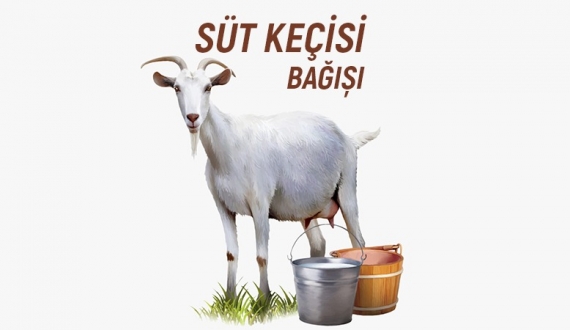 SÜT KEÇİSİ BAĞIŞI